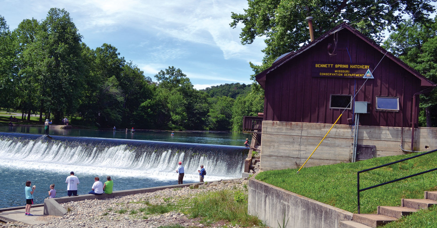 Where It All Began Ozarks Farm & Neighbor Newspaper