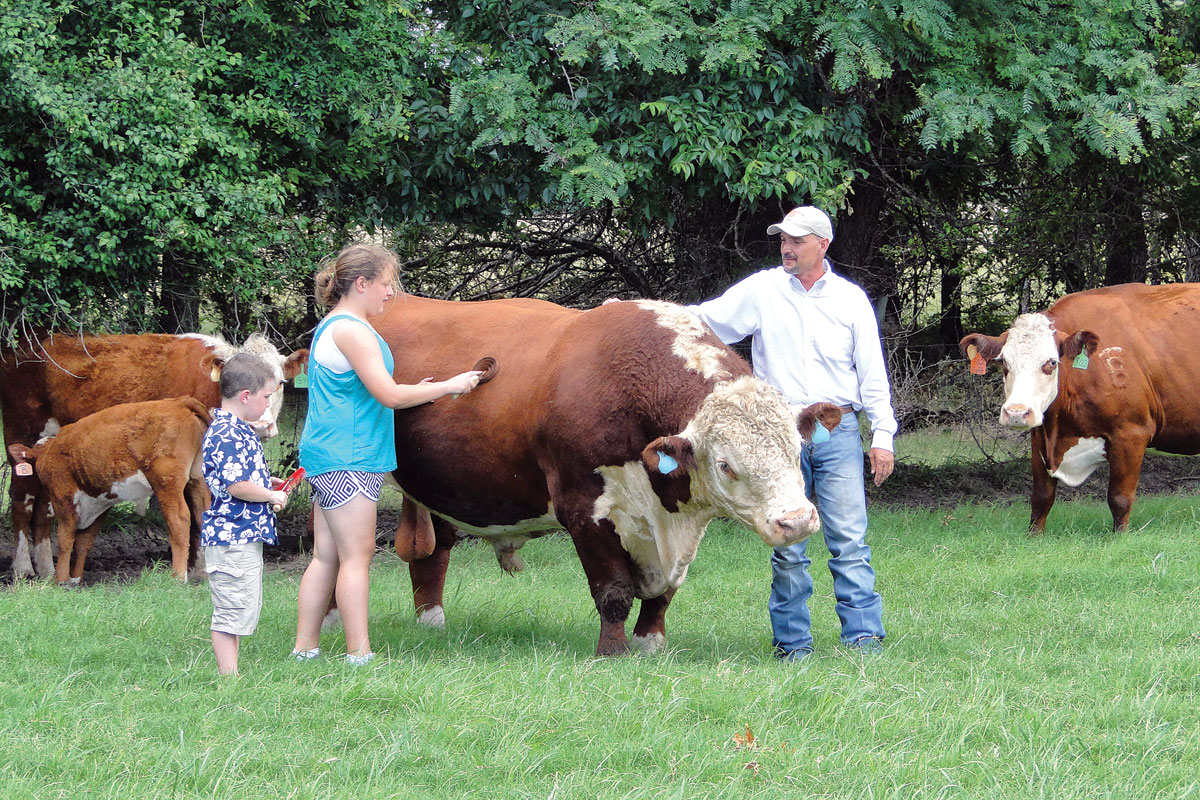 Despite Off The Farm Jobs Matt And Erica Boyer Manage A Thriving Registered Hereford Operation Despite Off The Farm Jobs Matt And Erica Boyer Manage A Thriving Registered Hereford Operation