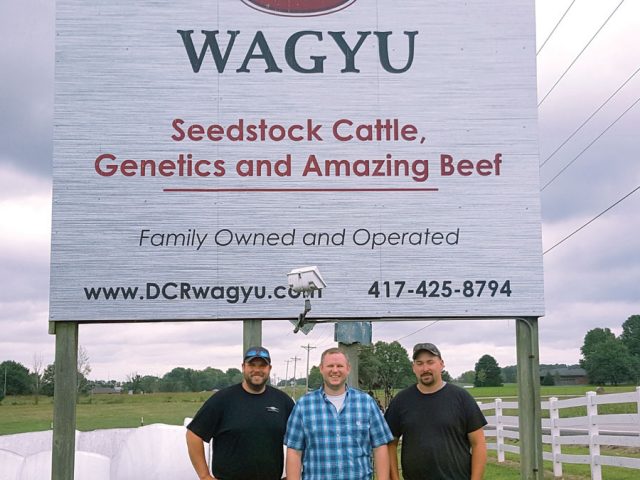 The Benefits of Wagyu The Benefits of Wagyu