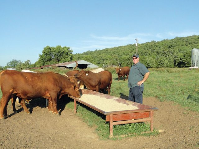 Building Bulls and Beef Building Bulls and Beef