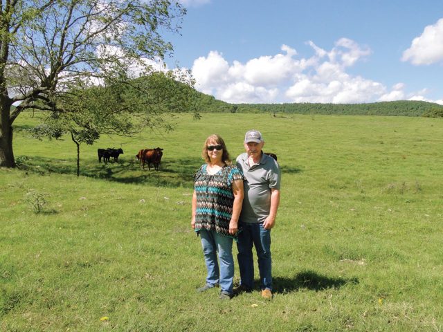 A Respectable Cattleman A Respectable Cattleman