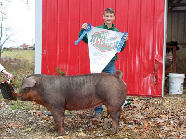 Sold on the Swine Industry Sold on the Swine Industry