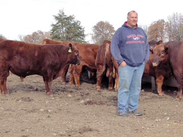 For the Love of Red Cattle For the Love of Red Cattle