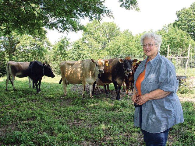 Cow Heaven Cow Heaven