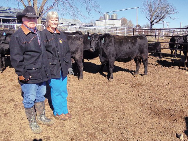Breeding Uniform Cattle with Angus Breeding Uniform Cattle with Angus
