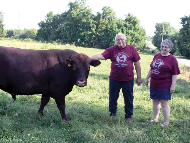 Hooked on Red Polls Hooked on Red Polls