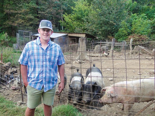 Show-Quality Swine Show-Quality Swine