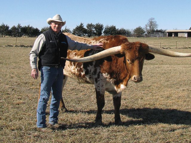 An Old Breed with a Bright Future An Old Breed with a Bright Future