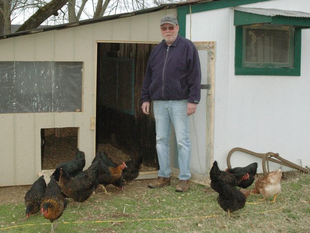 Chickens on the Move Chickens on the Move