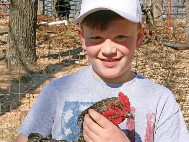 ‘Crazy’ for Chickens ‘Crazy’ for Chickens