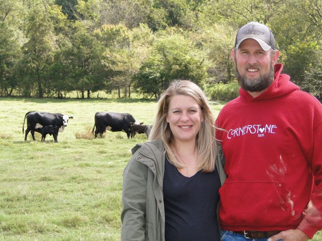 Eared Cattle and Broilers Eared Cattle and Broilers